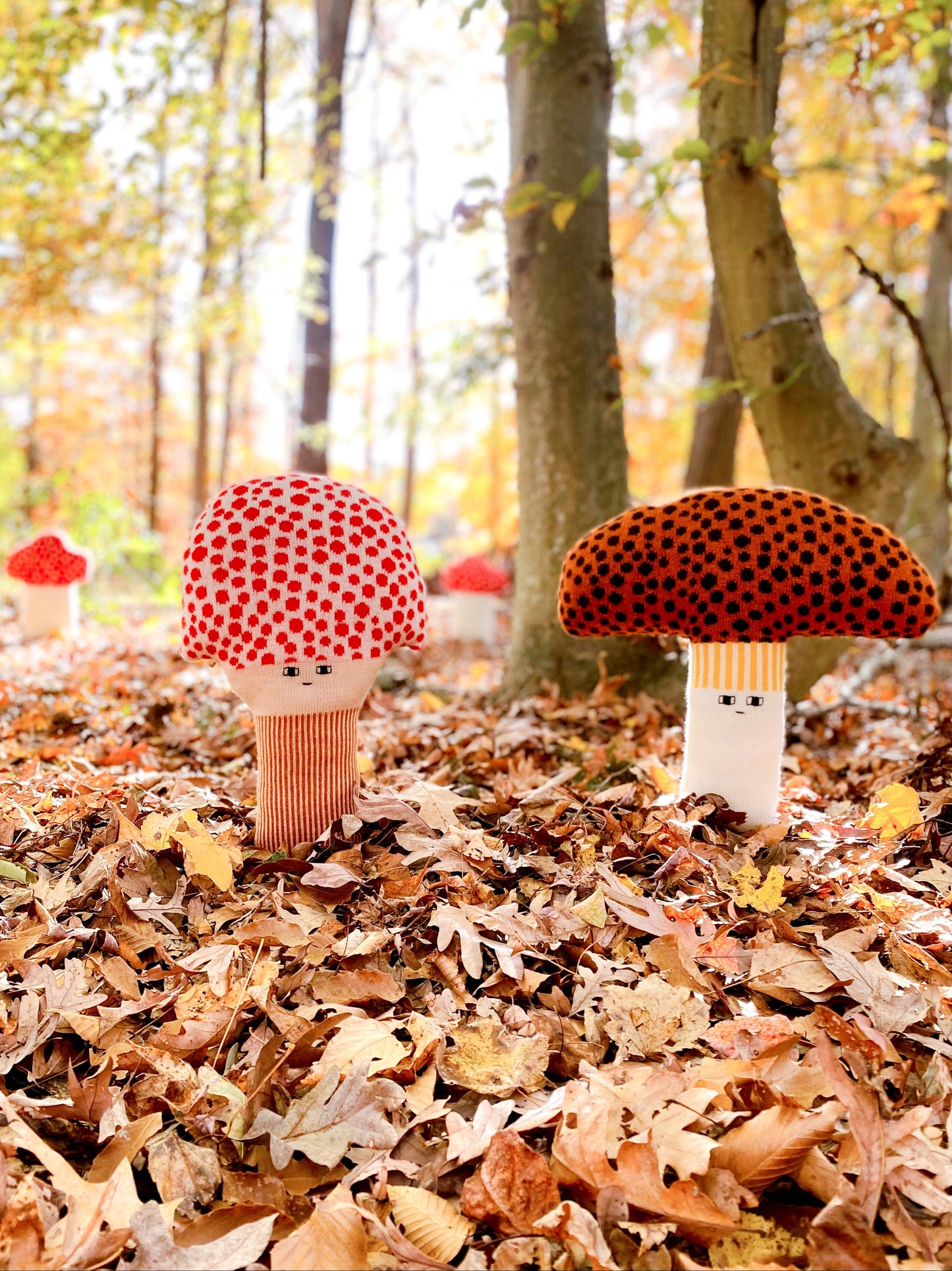 Two decorative mushroom figures on a forest floor with autumn leaves and trees in the background.