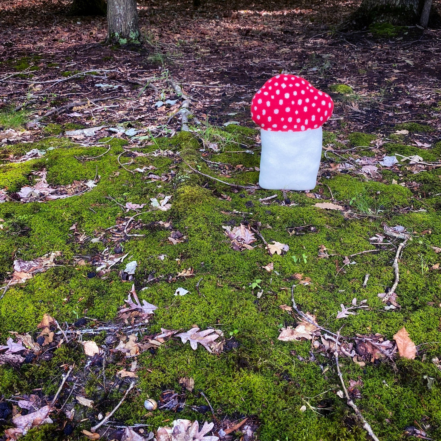 Mushroom knit Pillow - Lambswool