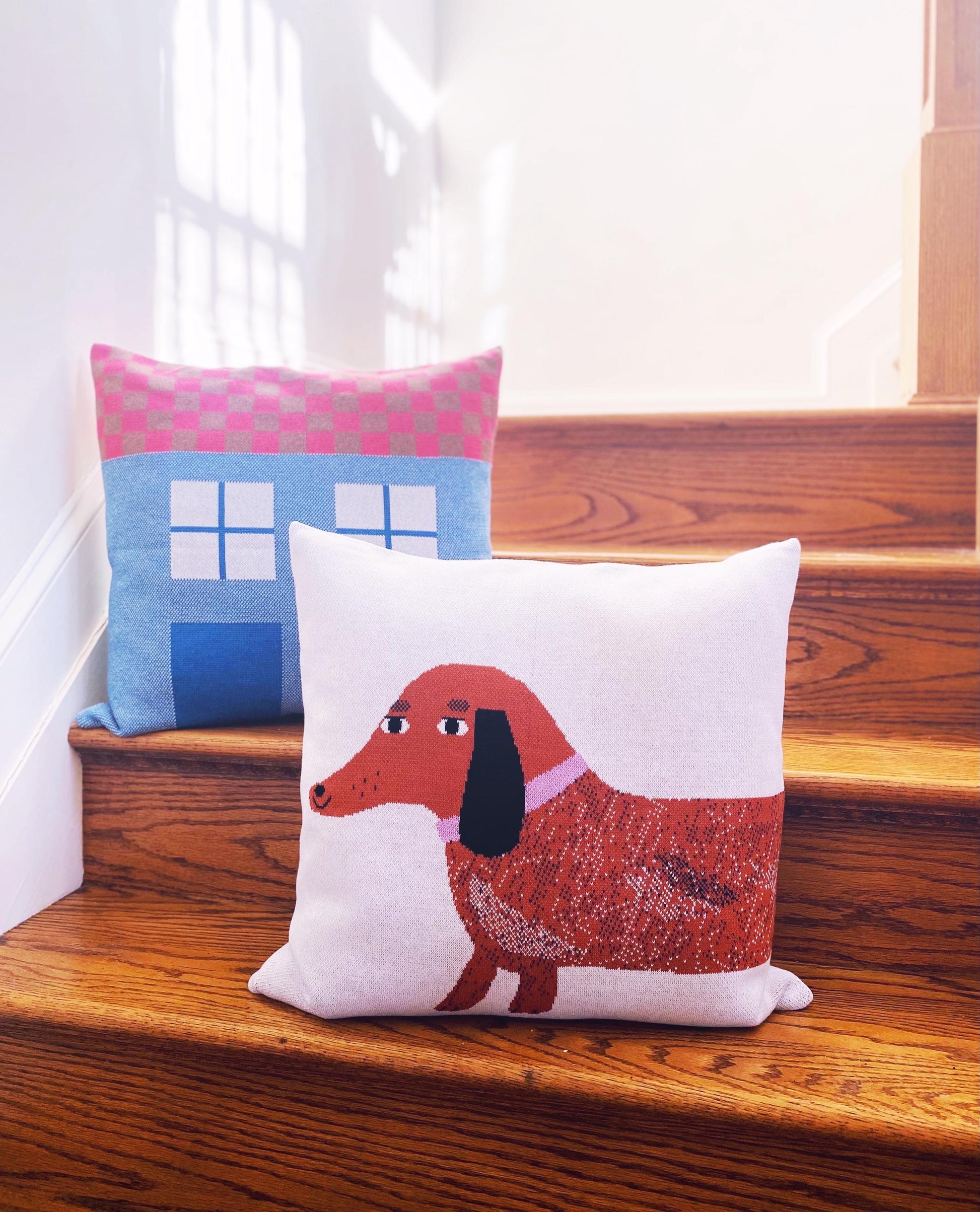 Two decorative pillows on a wooden surface, one with a dachshund dog design and the other with a colorful house design.