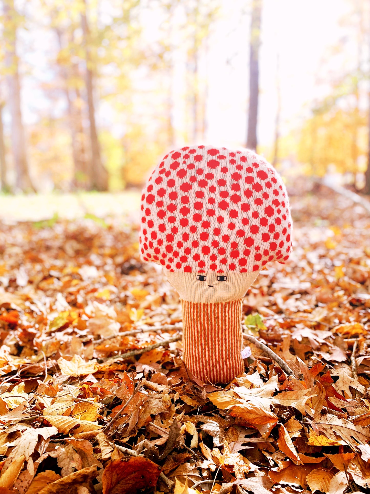 Toy mushroom with a red polka dot cap standing on autumn leaves