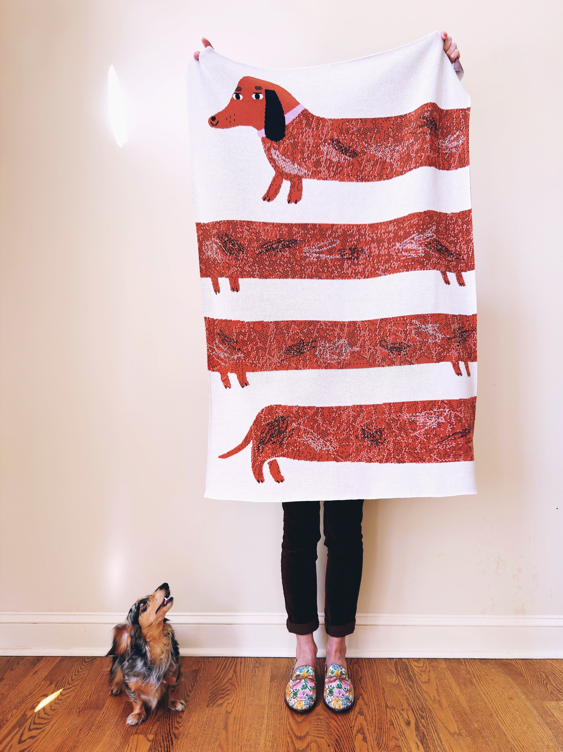 Person holding a blanket with dachshund pattern next to a dog on a wooden floor.
