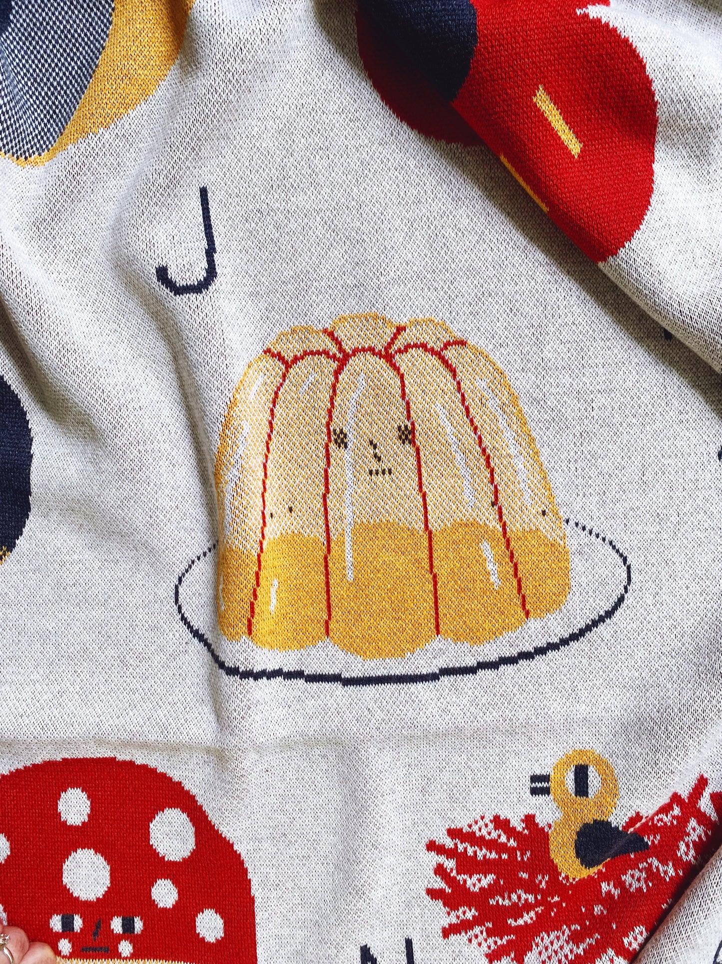 Knitted alphabet throw blanket with a cartoon J for jelly design and colorful characters.