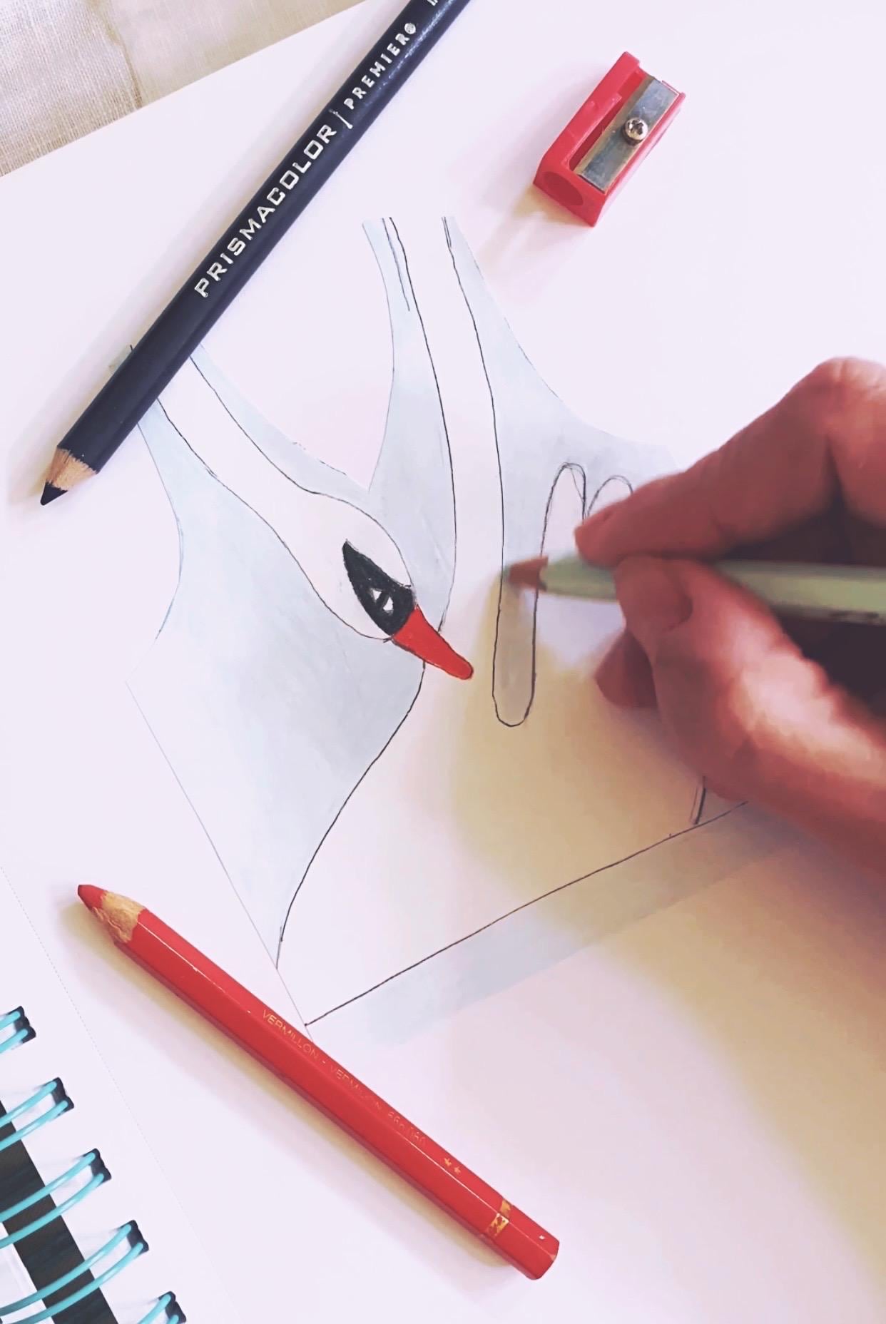 Person drawing a swan with colored pencils on a white sheet of paper.